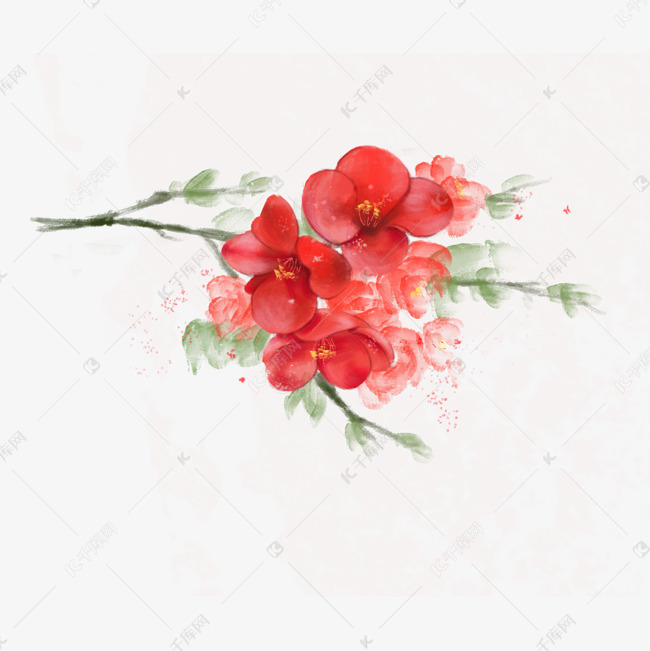 红色海棠花水彩手绘免抠png
