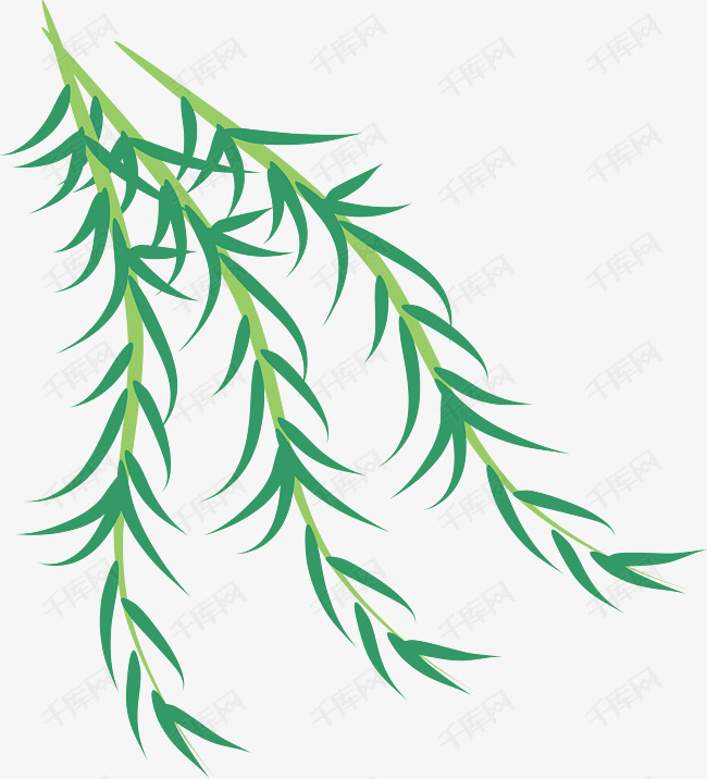 清明节柳枝