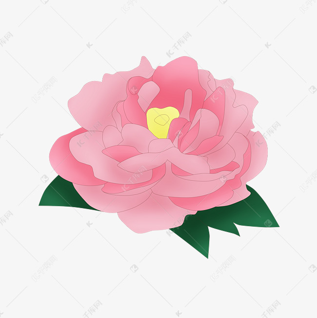 盛开的卡通牡丹花