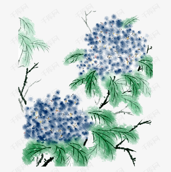 水墨画绣球花