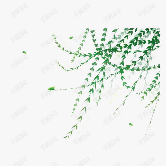春季植物枝藤插画