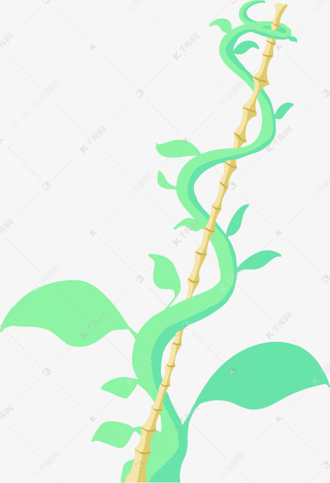 缠绕的绿色植物藤蔓