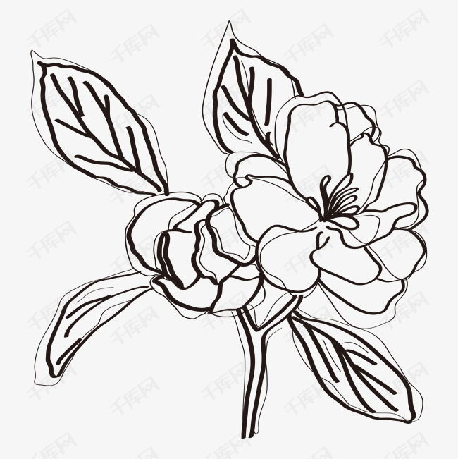 白描海棠花手绘矢量图