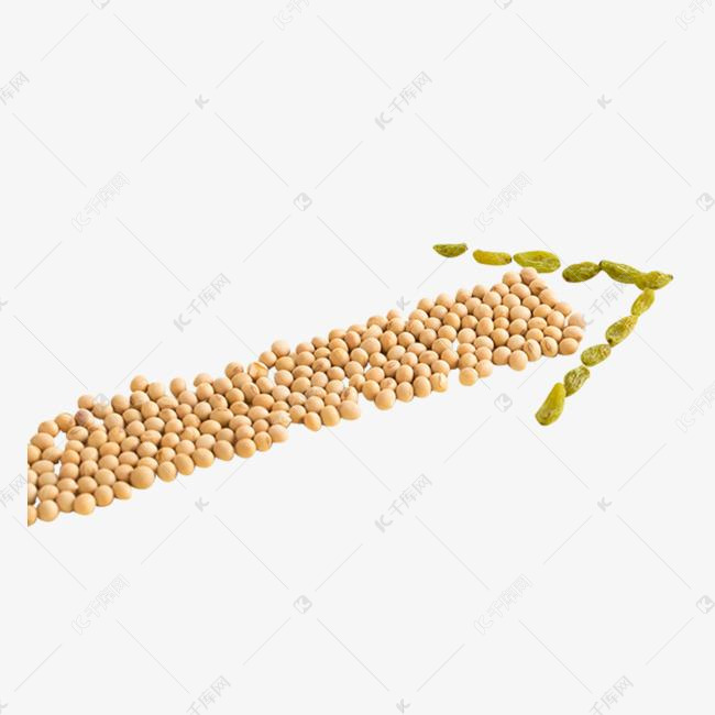 黄豆葡萄干营养食物