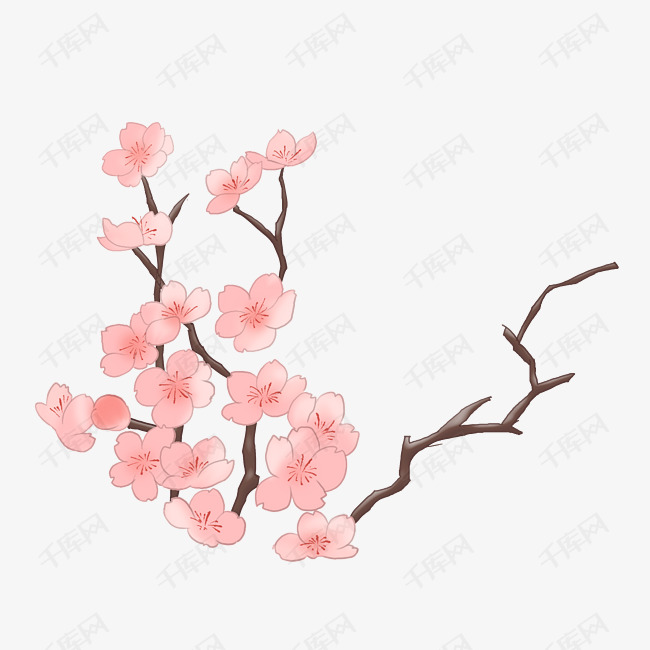 春天的樱花卡通插画