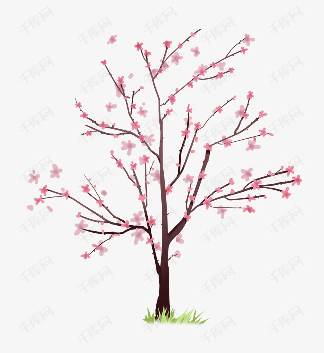 绽放桃花卡通插画