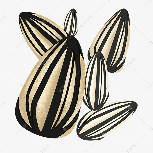 黑色的瓜子装饰插画
