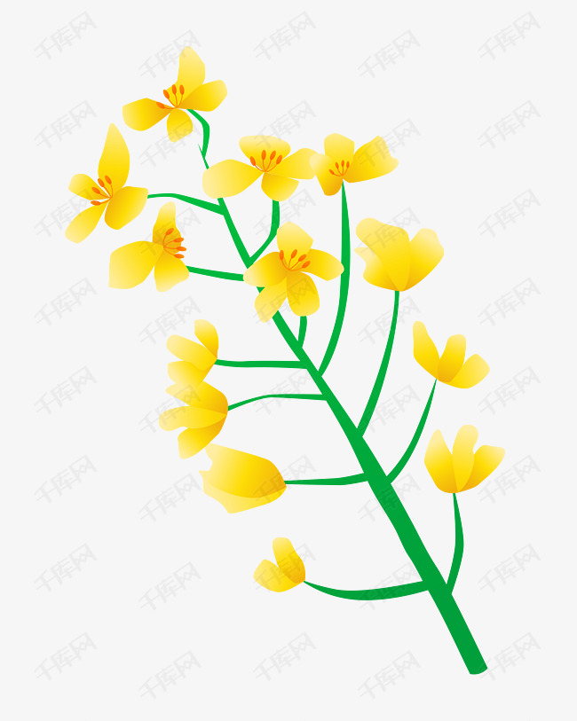 矢量免扣卡通油菜花