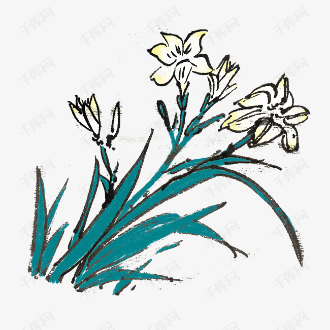 水仙花国画插画素材