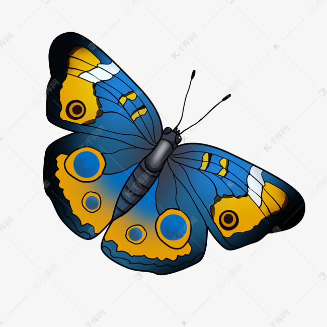 b4ff7c9ce65ebb24f93c23b13daa210a.jpg