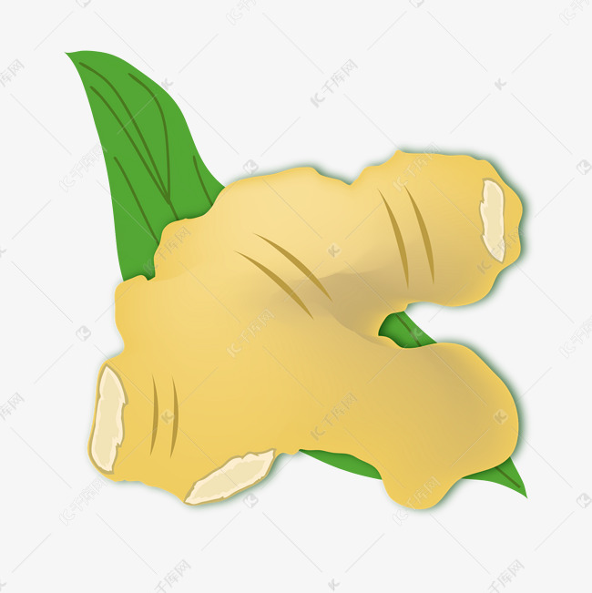 精美的葱姜卡通插画