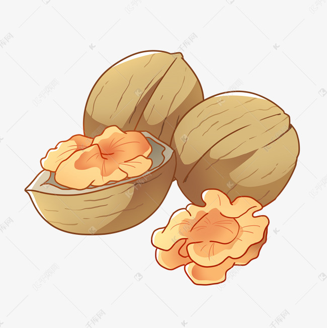坚果核桃卡通插画
