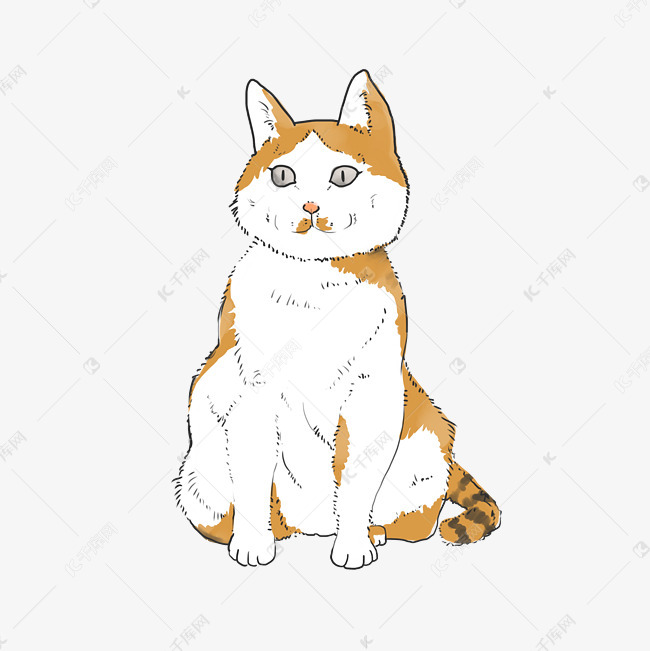 清新可爱卡通猫咪橘猫插画