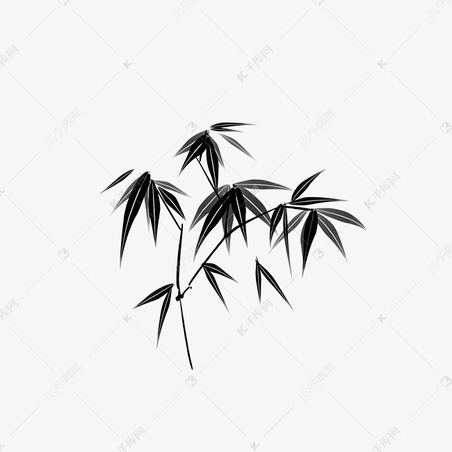 竹叶竹子墨竹