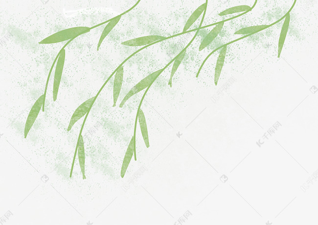 随风飘扬的柳枝