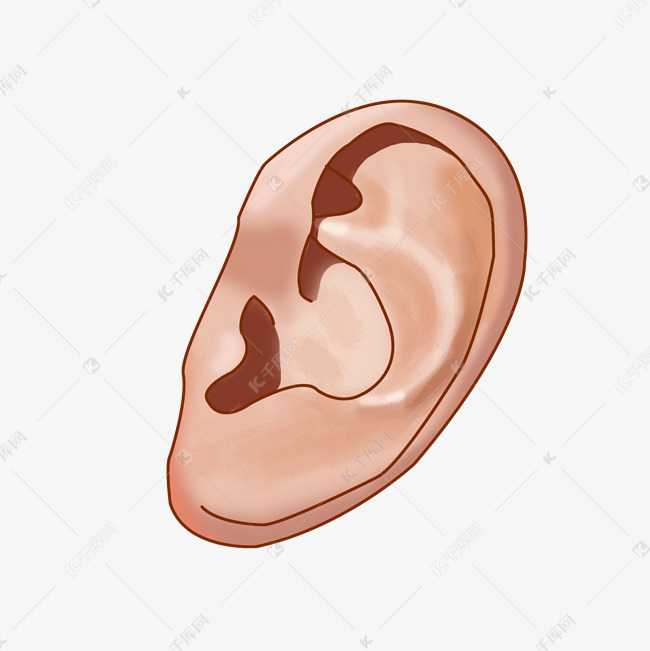 矢量卡通人耳朵听力部位