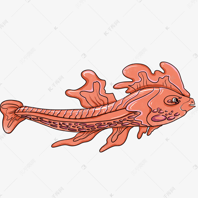 动物红鱼卡通插画