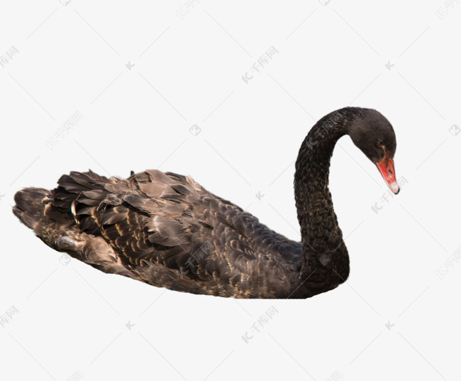 58c7b23558a63d412f07d1f5a50dd7e7.jpg