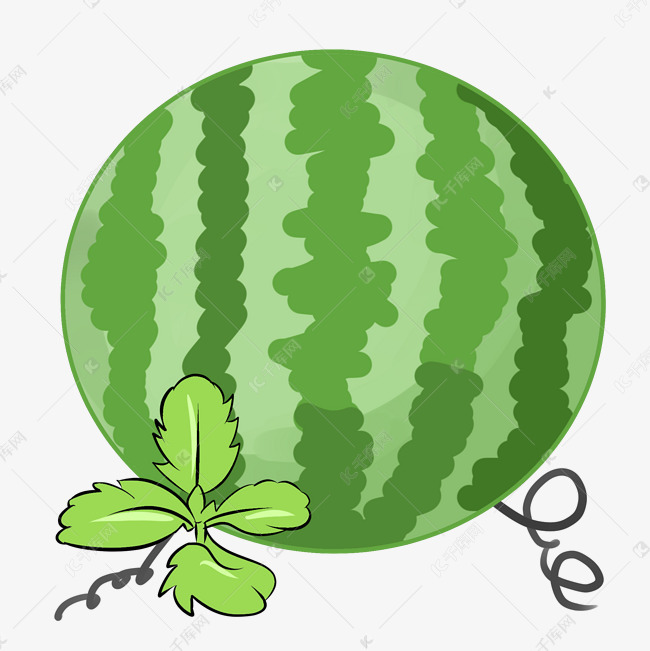 夏日绿色可口西瓜