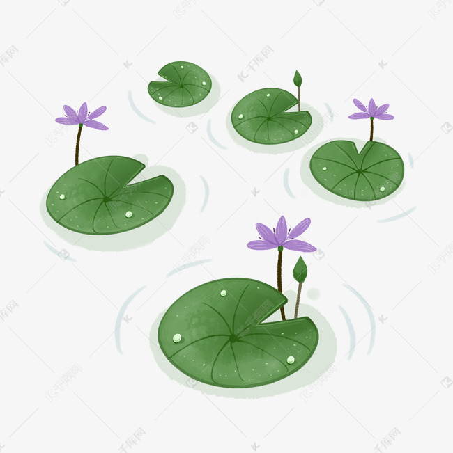 卡通手绘睡莲装饰矢量图