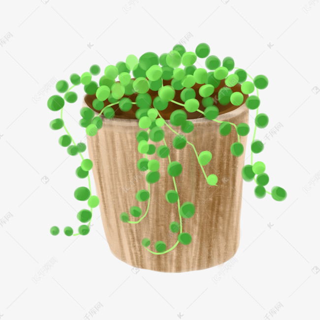 植物盆栽多肉卡通