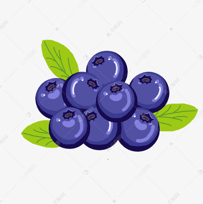 水果蓝色蓝莓