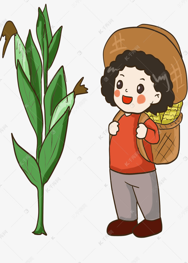 农民摘玉米劳动绘画人物