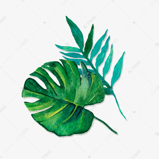绿色植物叶子元素