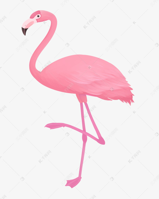 一只粉色火烈鸟