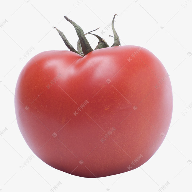 免费番茄 0543eef8e5cb6d67beac40eb3f251906.jpg