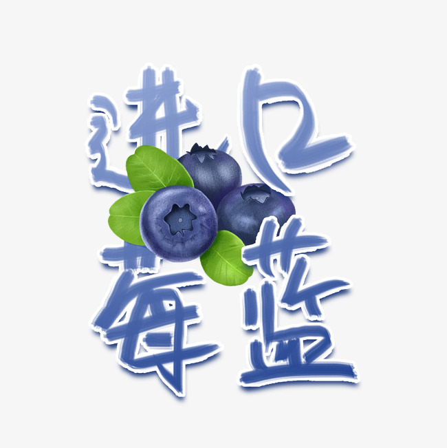 进口蓝莓手写艺术字
