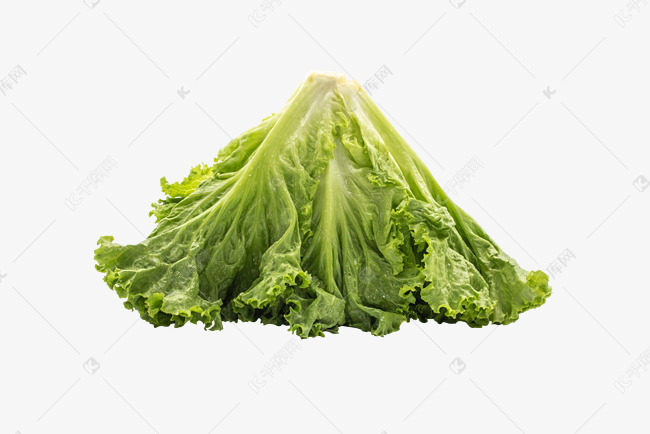 美味蔬菜生菜