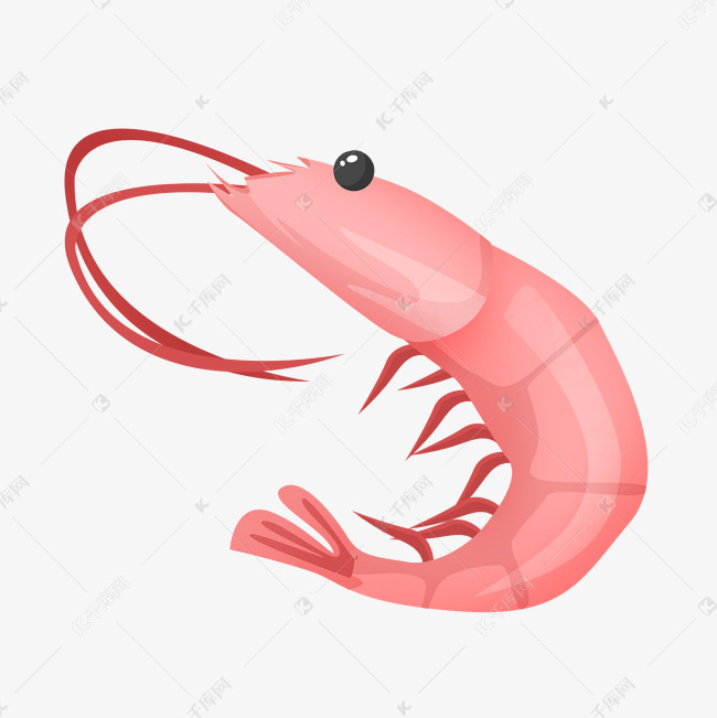 粉色虾基围虾