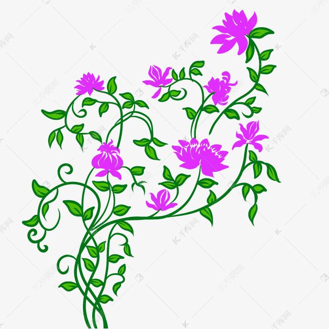 紫色小花花藤