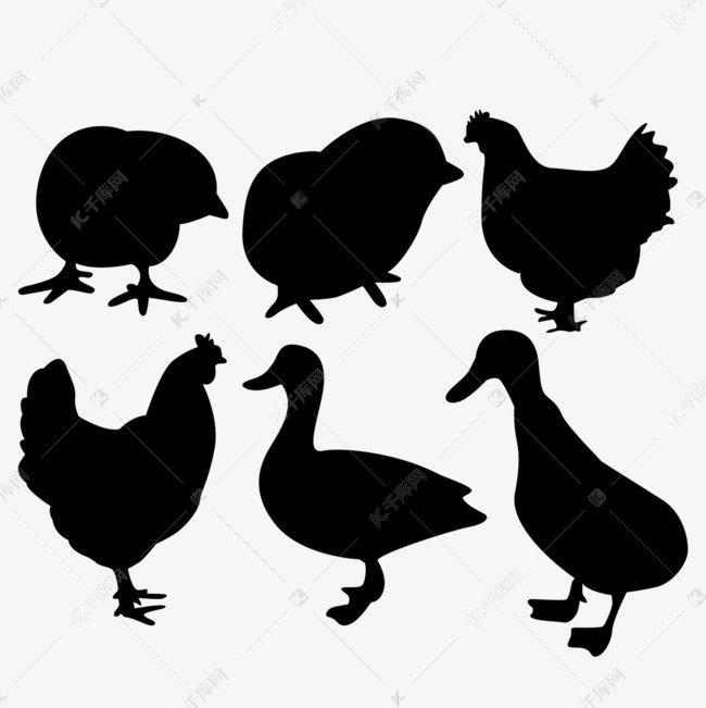 饿饿头像 36384eea5ede8efc9e8a36a195636091.jpg