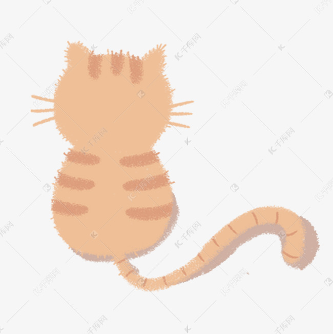 黄色的小猫背影