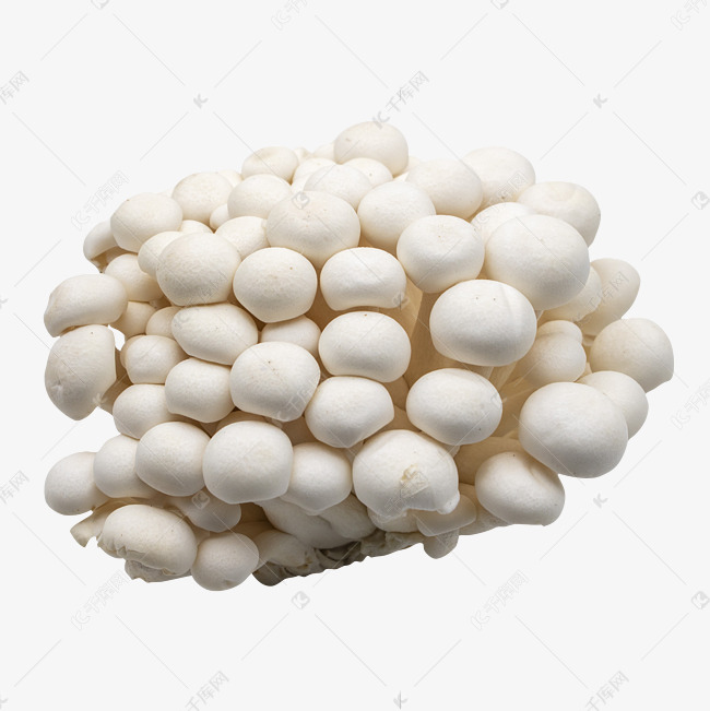 白色蔬菜蘑菇