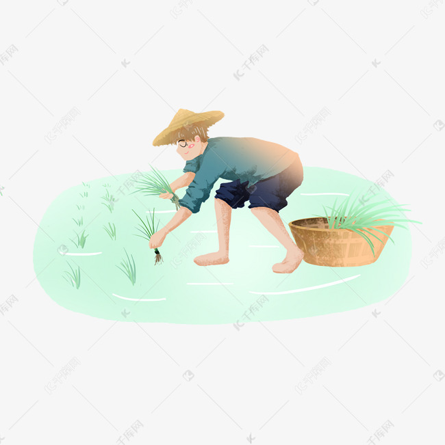 芒种农民插秧素材