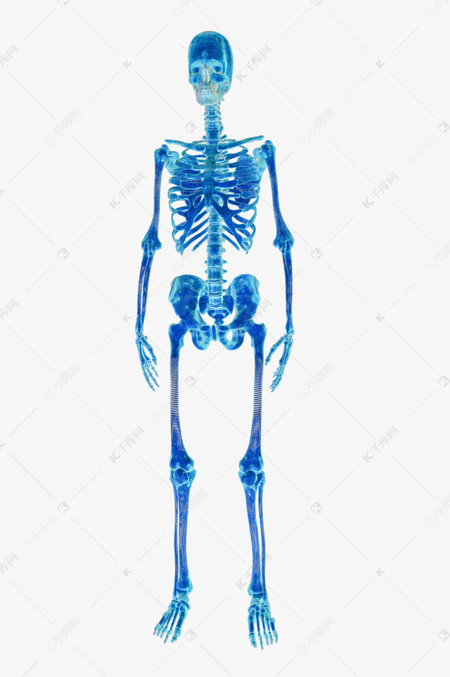 x光粒子骨骼