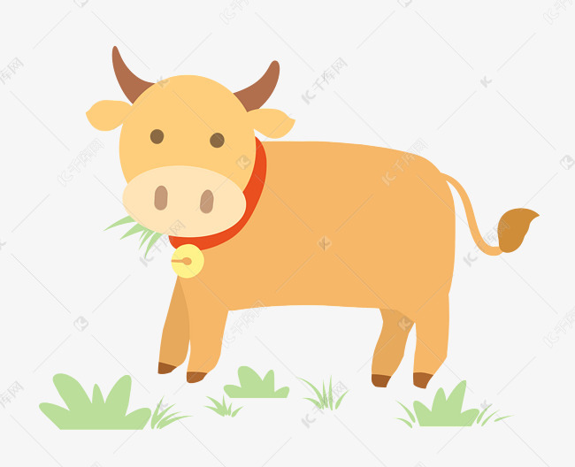 可爱小牛吃草