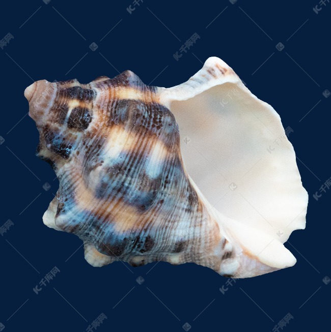 6ccc7c155dc6e7ca6a3d87cf7dcbd519.jpg