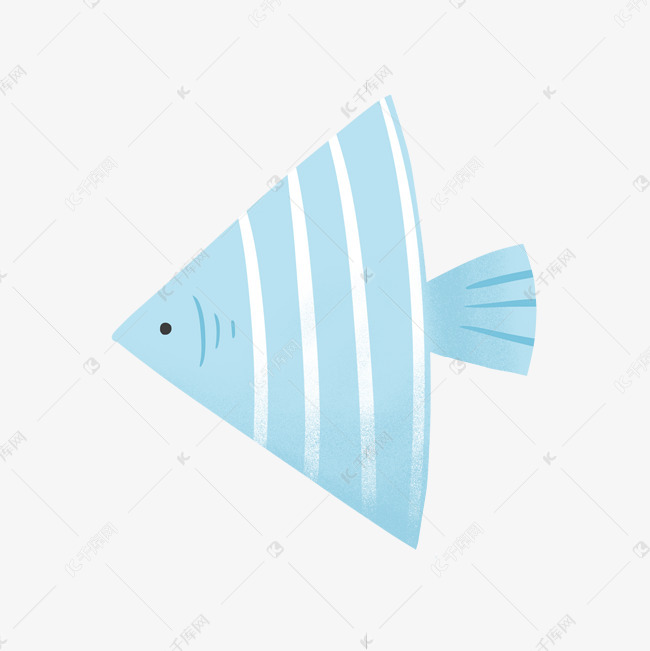 三角热带鱼