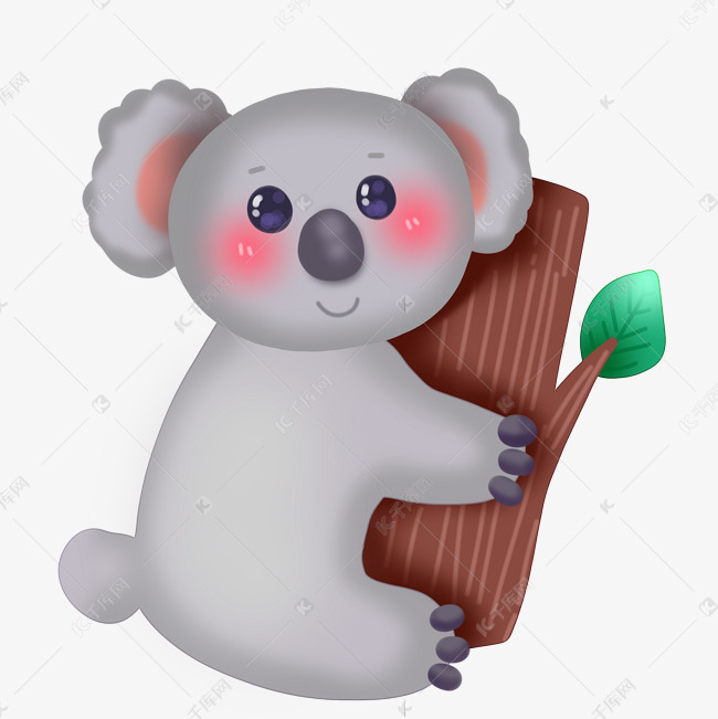 可爱考拉