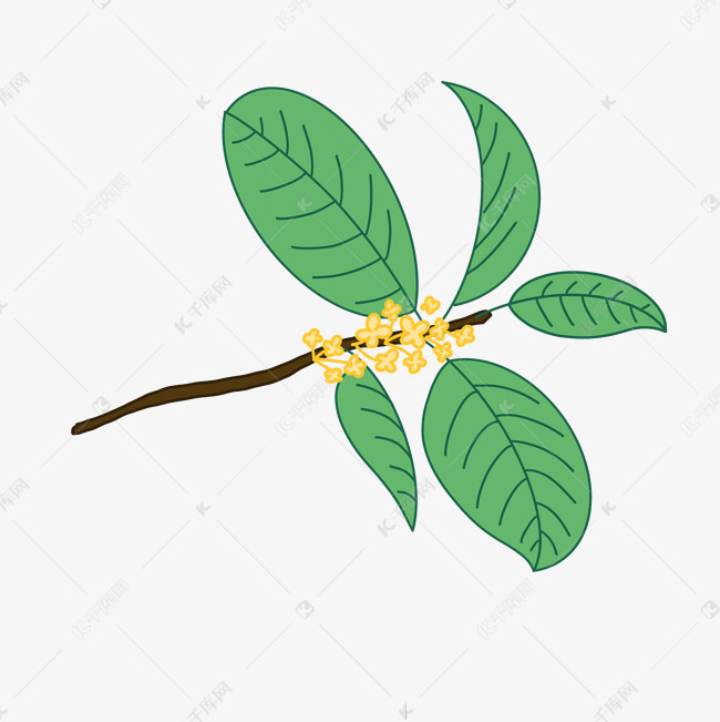 叶子上面画出漂亮的桂花