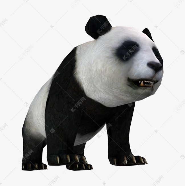 写实3d熊猫