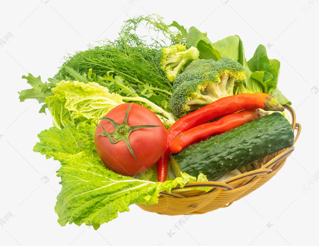 新鲜营养蔬菜组合