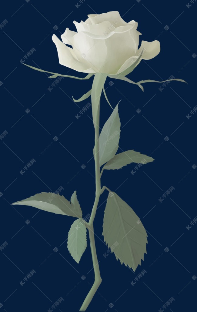 树枝白玫瑰素材图片免费下载-千库网