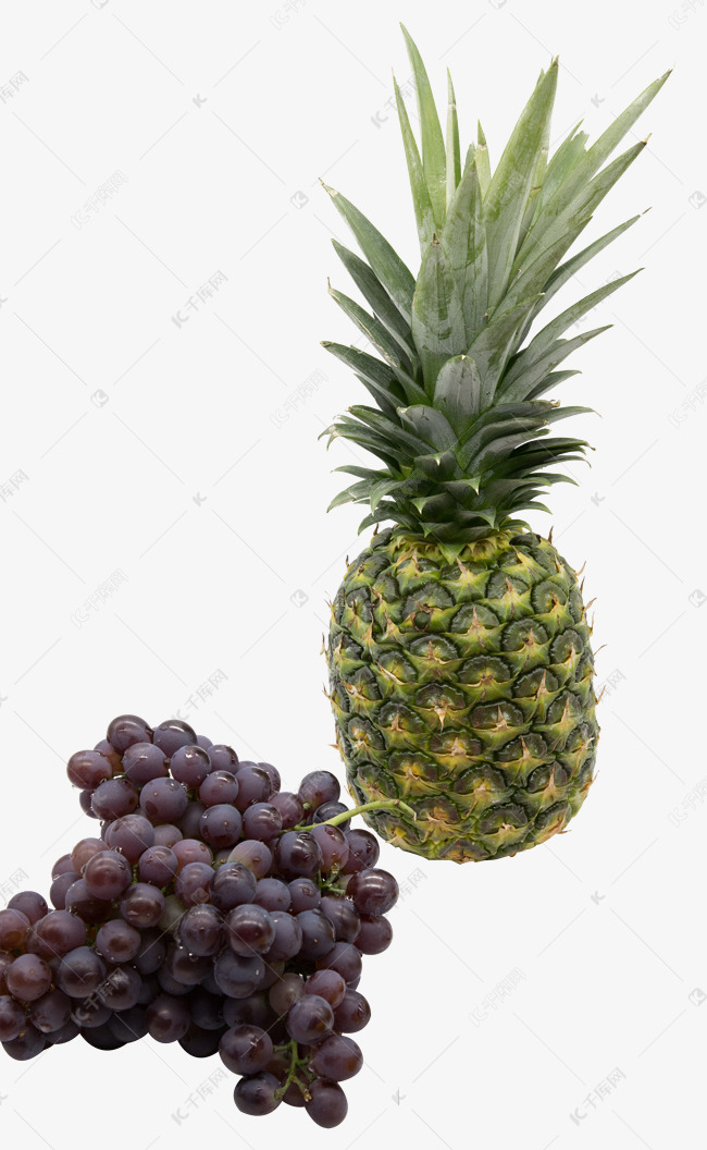 凤梨葡萄