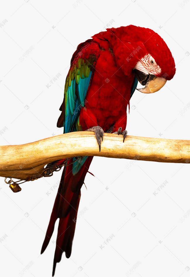 4e28b1ee8f328a3d0c93ba4d74fd7969.jpg