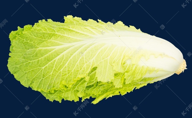 一颗蔬菜白菜